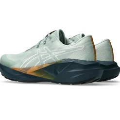 Asics Løbesko|Løbesko-Novablast 5 TR Løbesko, Herre  Nature Bathning/Lichen Rock