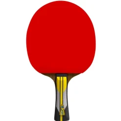 Double Fish Bordtennisbat-6A+ Bordtennisbat