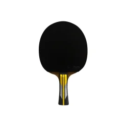 Double Fish Bordtennisbat-6A+ Bordtennisbat