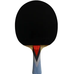 Double Fish Bordtennisbat-4A+ Bordtennisbat