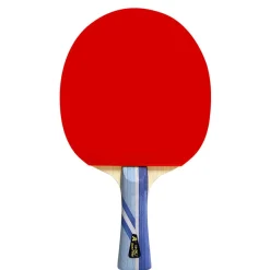 Double Fish Bordtennisbat-3A+ Bordtennisbat