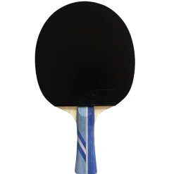 Double Fish Bordtennisbat-3A+ Bordtennisbat
