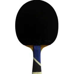 Double Fish Bordtennisbat-5A+ Bordtennisbat