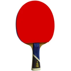 Double Fish Bordtennisbat-5A+ Bordtennisbat