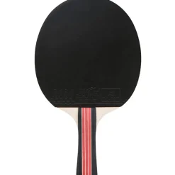 Double Fish Bordtennisbat-2D-C 3* Bordtennisbat