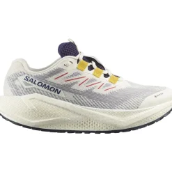 Salomon Fodtøj|Løbesko-Aero Blaze 3 GRVL Gore-Tex Løbesko Dame Vanilla Ice / Astral Aura / Lemon