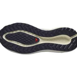 Salomon Fodtøj|Løbesko-Aero Blaze 3 GRVL Gore-Tex Løbesko Dame  Vanilla Ice / Astral Aura / Lemon