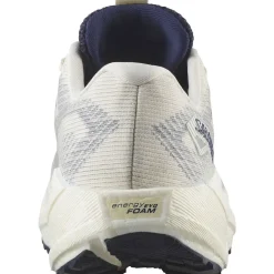 Salomon Fodtøj|Løbesko-Aero Blaze 3 GRVL Gore-Tex Løbesko Dame  Vanilla Ice / Astral Aura / Lemon