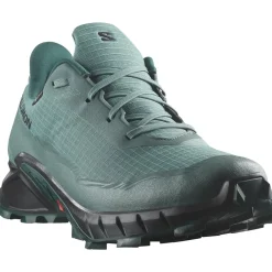 Salomon Løbesko|Vandresko-Alphacross 5 Gore-Tex Herresko  North Atlantic / Black / Sea Moss