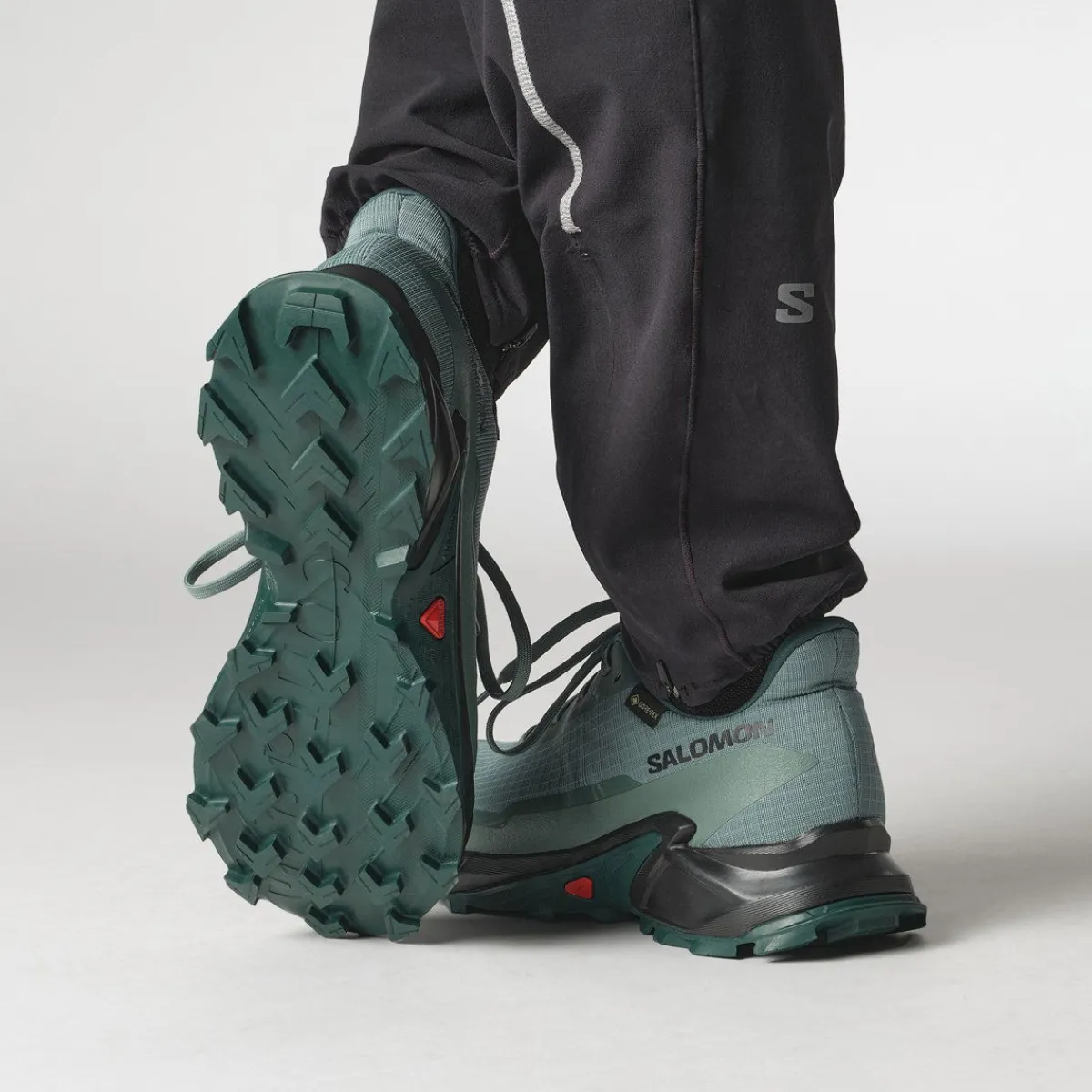 Salomon Løbesko|Vandresko-Alphacross 5 Gore-Tex Herresko North Atlantic / Black / Sea Moss