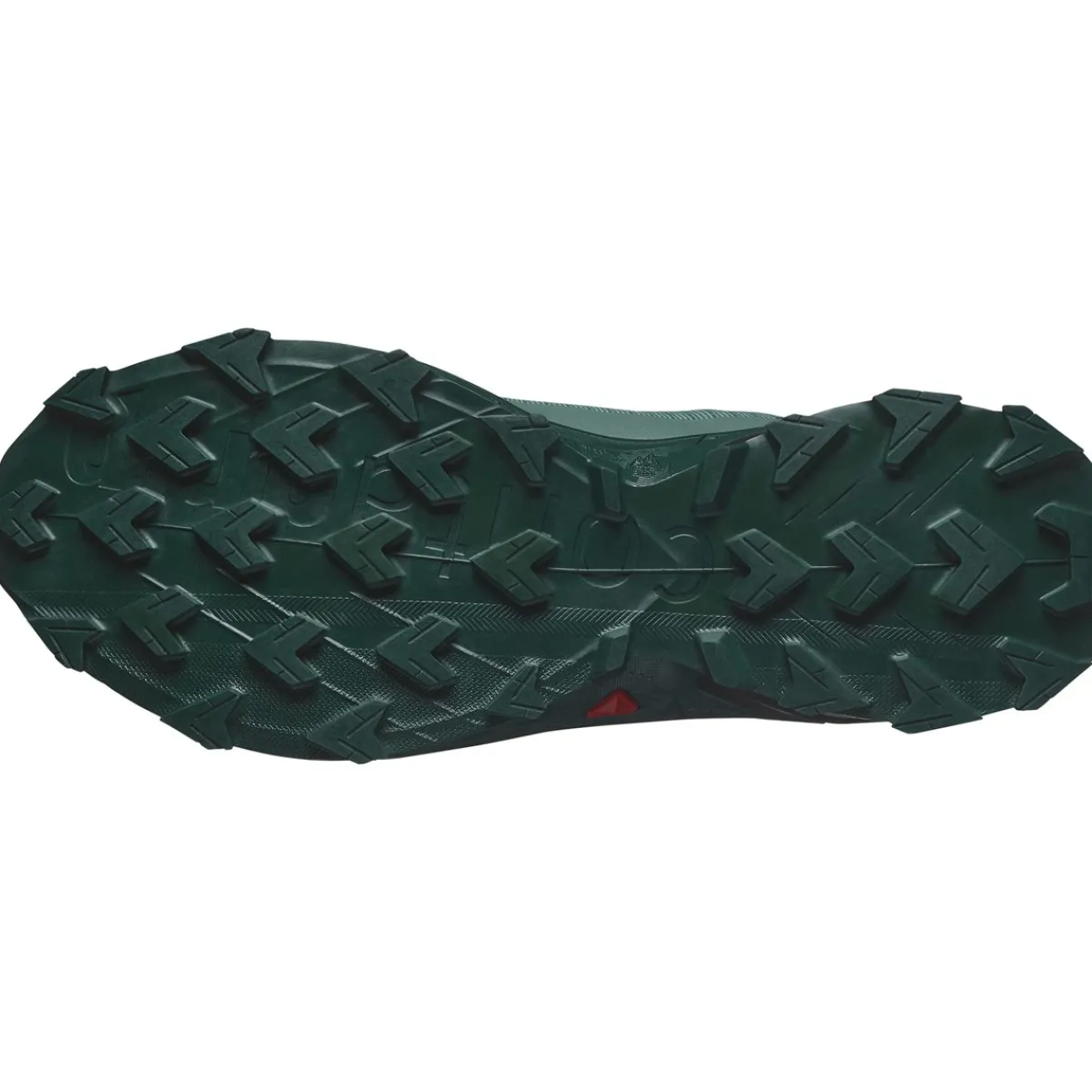 Salomon Løbesko|Vandresko-Alphacross 5 Gore-Tex Herresko North Atlantic / Black / Sea Moss