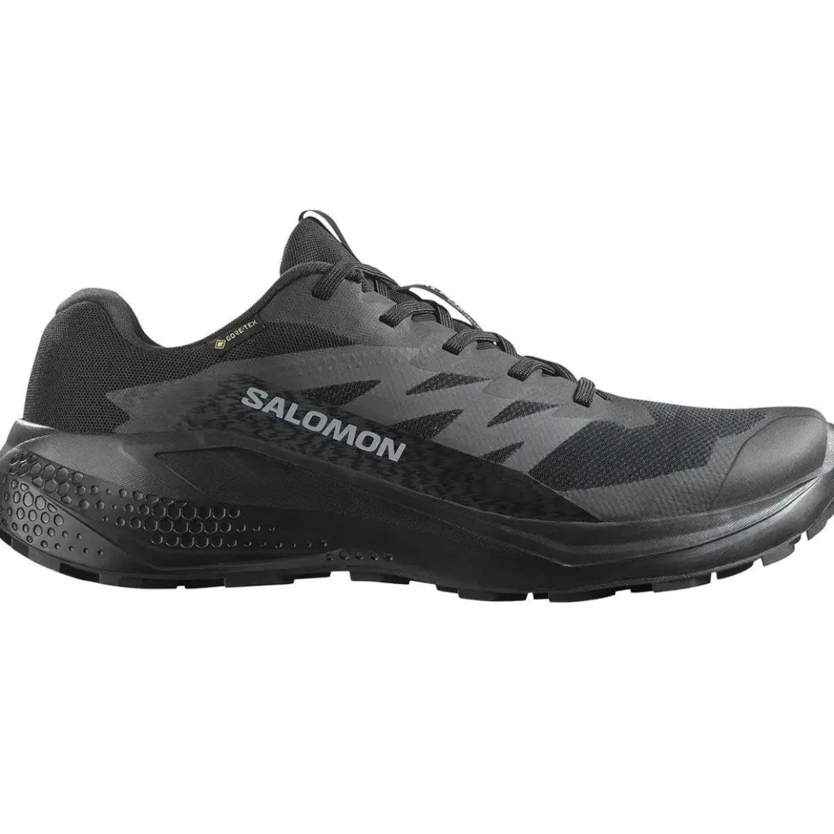 Salomon Fodtøj|Vandresko-Alphaglide Gore-Tex Vandresko Herre