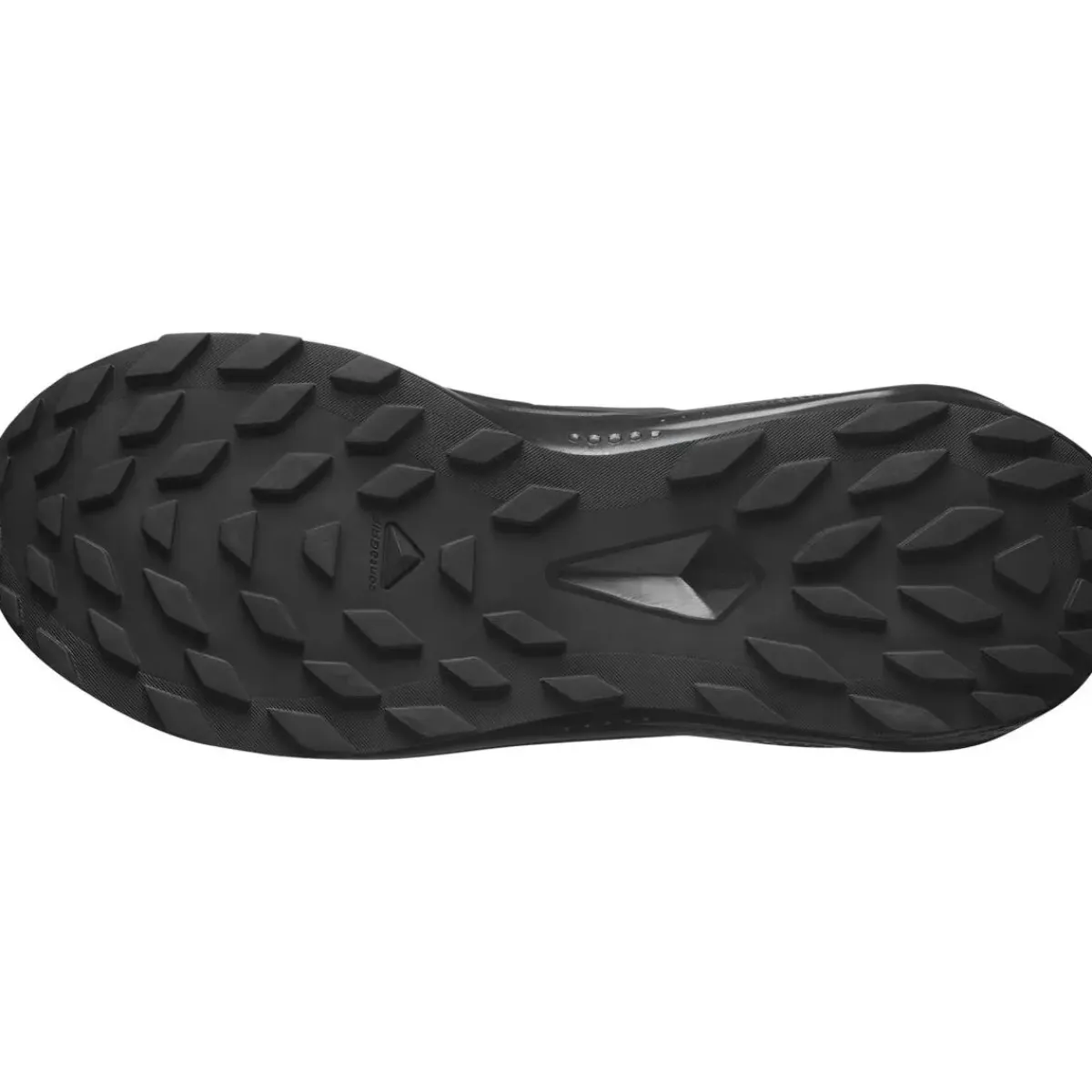 Salomon Fodtøj|Vandresko-Alphaglide Gore-Tex Vandresko Herre