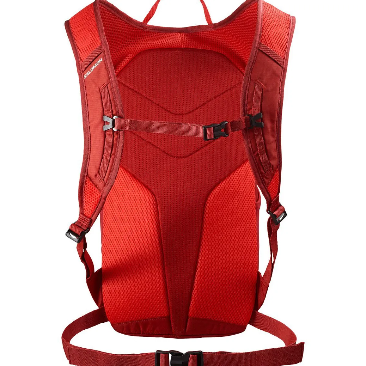 Salomon Rygsække|Udstyr-Trailblazer 10 Hiking Rygsæk, rød Red Dahlia / High Risk Red