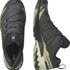 Salomon Vinterfodtøj|Fodtøj-XA PRO 3D V9 Gore-Tex Herresko  India Ink / Olive Night / Aloe Wash