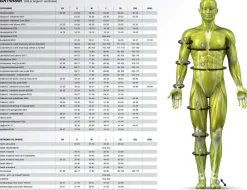 Select Støtte Og Bandager|Sportsstøtte-Profcare 6200 Knæbind