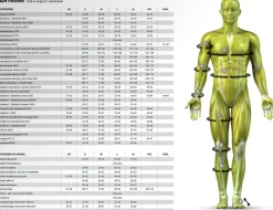 Select Varmebukser|Sportsstøtte-Profcare 6401 Varmebusker Med Lycra